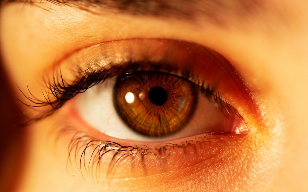 What Eyelash Tinting Can and Can’t Do for You